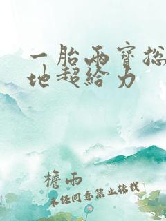 一胎两宝总裁爹地超给力