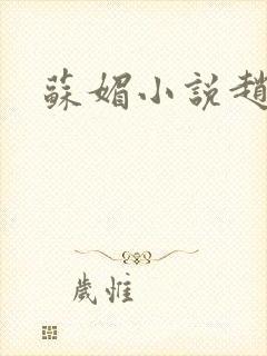 苏媚小说赵大宝