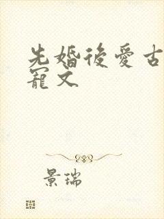 先婚后爱古言甜宠文