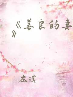 《善良的妻子3》