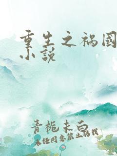 重生之祸国妖妃小说