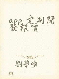 app 定制开发报价