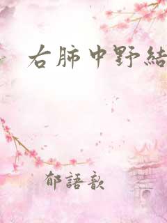 右肺中野结节影