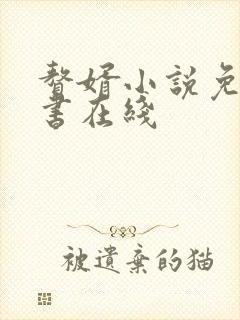 赘婿小说免费听书在线