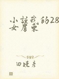 小说我的28岁女房东