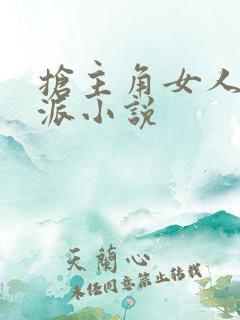 抢主角女人的反派小说