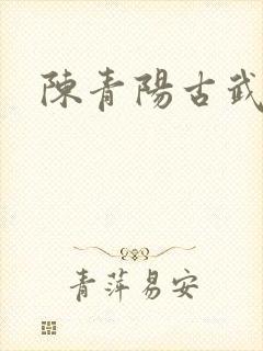 陈青阳古武狂兵