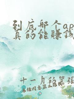 到底哪个app真的能赚钱