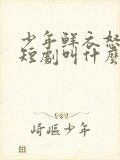 少年鲜衣怒马的短剧叫什么