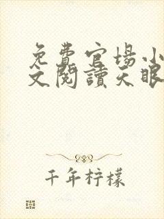 免费官场小说全文阅读天眼人生