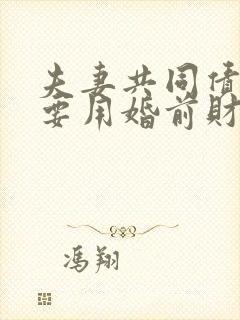 夫妻共同债务需要用婚前财产偿还吗