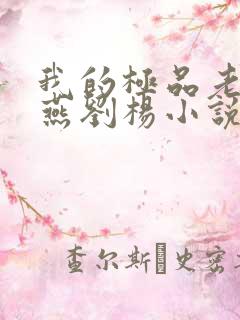 我的极品老师罗燕刘杨小说免费阅读