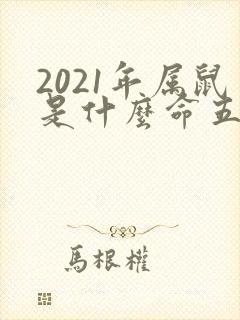 2021年属鼠是什么命五行