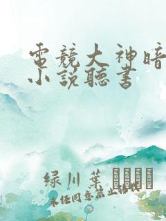 电竞大神暗恋我小说听书