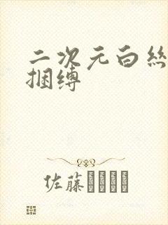 二次元白丝口球捆缚