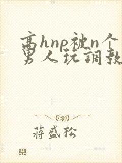 高hnp被n个男人玩调教