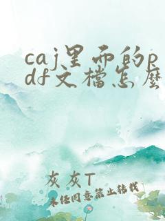 caj里面的pdf文档怎么打开