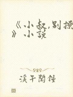 《小叔,别撩我》小说