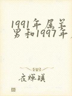 1991年属羊男和1997年属牛女婚配