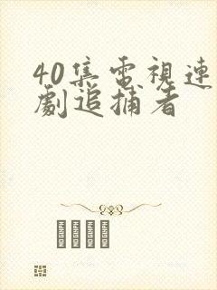 40集电视连续剧追捕者