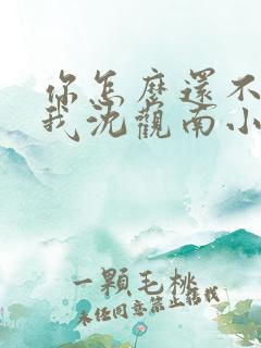 你怎么还不来哄我沈观南小说免费阅读
