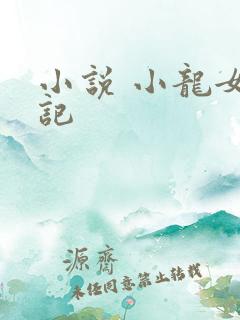 小说 小龙女淫记