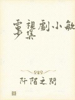 电视剧小敏家多少集