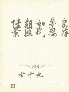 佳期如梦良辰美景匪我思存