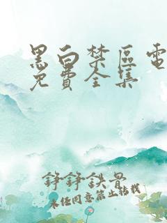 黑白禁区电视剧免费全集
