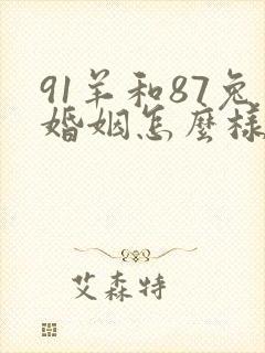 91羊和87兔婚姻怎么样