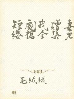 短剧我赠妻子红缨枪全集免费