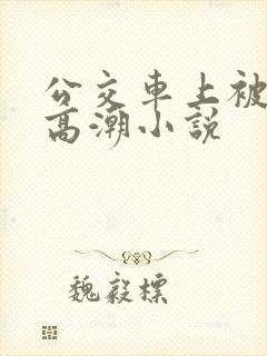 公交车上被插到高潮小说