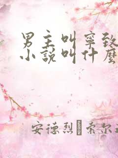 男主叫宁致远的小说叫什么