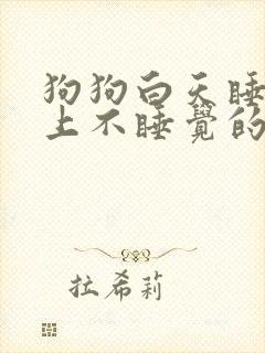 狗狗白天睡觉晚上不睡觉的原因
