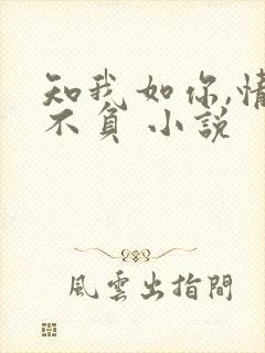 知我如你,情深不负 小说