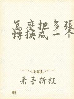怎么把多张照片转换成一个pdf