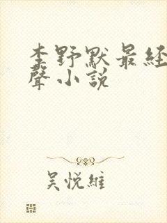 李野默最经典有声小说