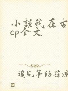 小说我在古代嗑cp全文