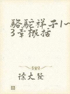 骆驼祥子1~13章概括