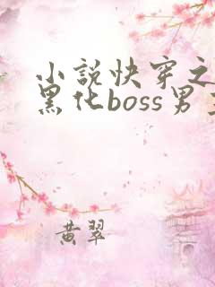 小说快穿之拯救黑化boss男主阅读