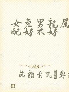 女兔男龙属相婚配好不好