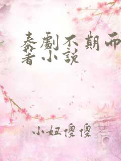泰剧不期而爱原著小说