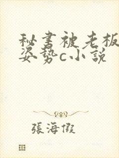 秘书被老板各种姿势c小说