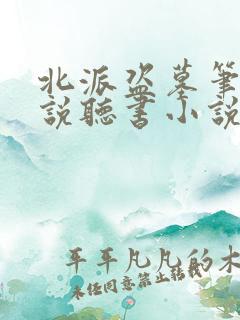 北派盗墓笔记小说听书小说