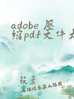 adobe 压缩pdf文件大小