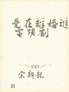 爱在离婚进行时 电视剧