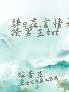 辞e在言情文里撩男主txt