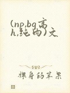 (np,bg高h,纯肉)文