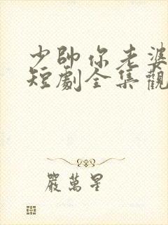 少帅你老婆又跑短剧全集观看