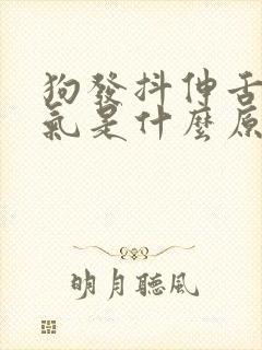 狗发抖伸舌头喘气是什么原因
